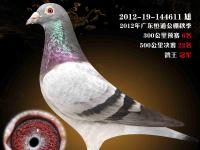 开云体育官方网站-黑马之战！欧预赛烽烈开打，逆袭唾手可得！的简单介绍