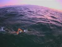 开云体育登录-澳大利亚游泳天团强势出击，历史创新