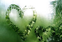 开云APP-蒙特卡洛大师赛力克年终总决赛，阿尔卡拉斯高光表现的简单介绍