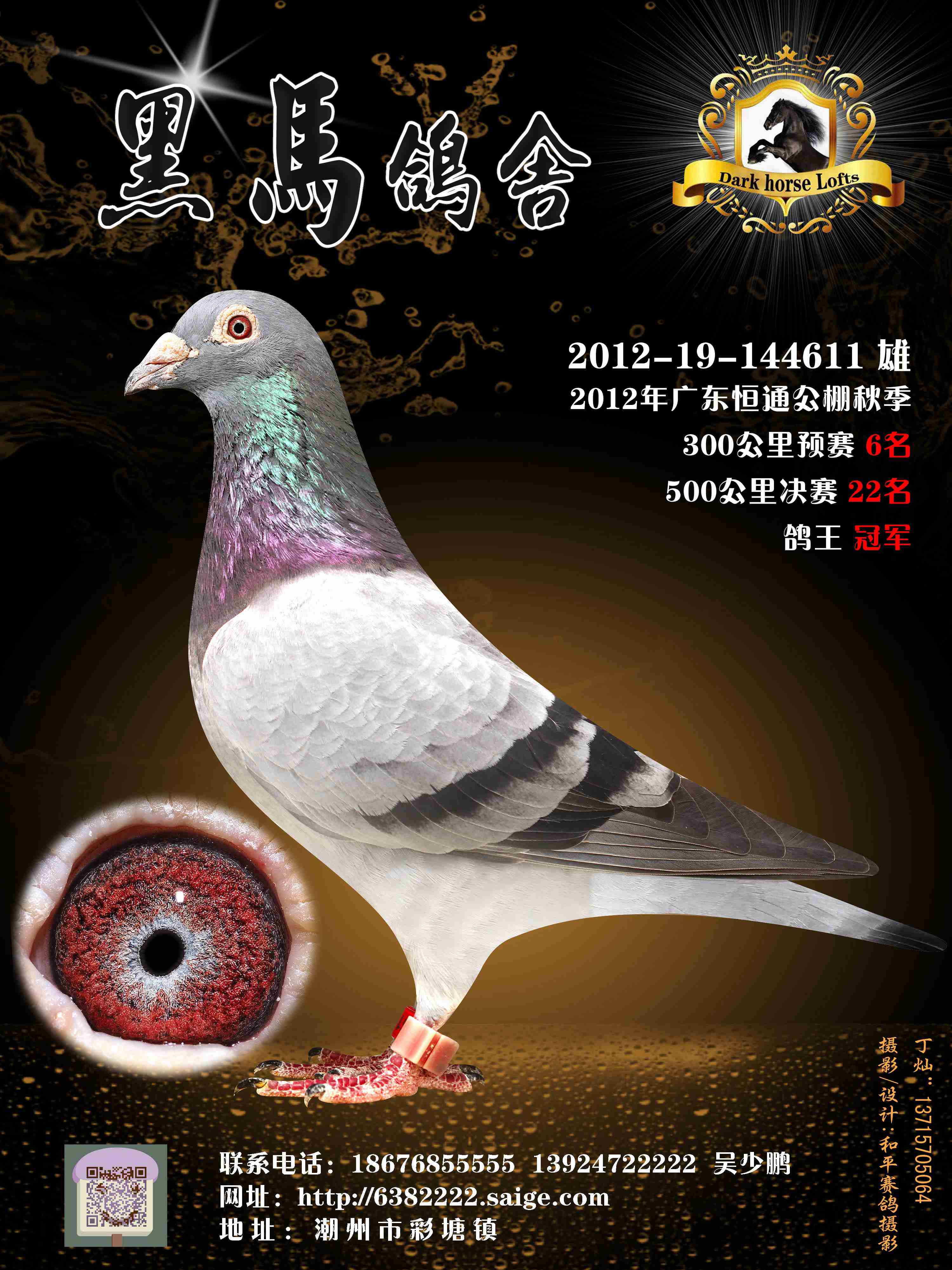 黑马之战！欧预赛烽烈开打，逆袭唾手可得！的简单介绍